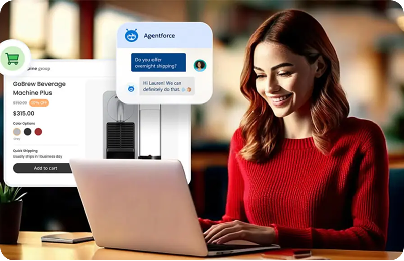 E-commerce Assistant